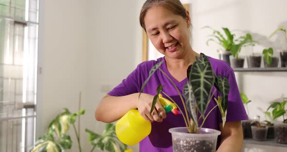 Happy Asian woman watering for house plant in pot. Home recreation activity.