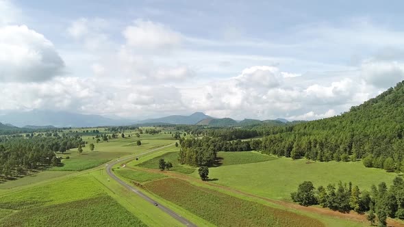 Michoacan cornfields