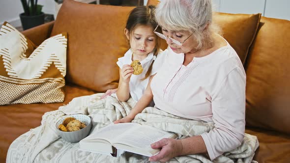 Old Grandma is Reading a Fairy Tale for Little Granddaughter Eating Cookie Hugging Her While Sitting