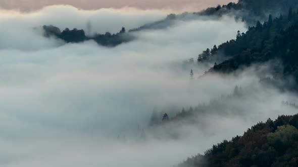 Time Lapse of Deep Fog in Green Mountains, Carpathians Mountain, Ukraine