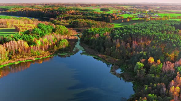 Small lake and forest in autumn, aerial view of Poland