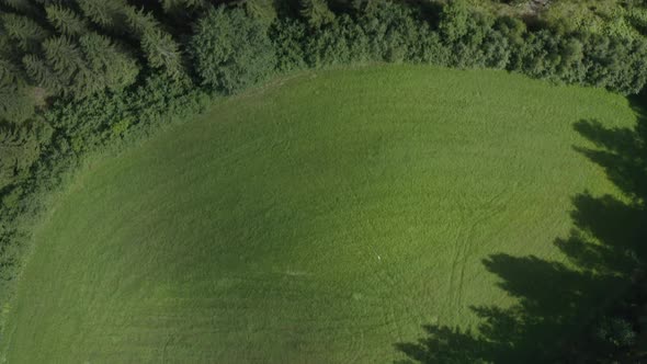 Green meadows and fields surrounded by forest. Scandinavian nature. Top down shot.