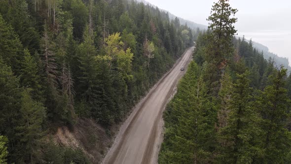 Silver car driving through a vast boreal forest near Adams Lake, BC. Aerial ending shot