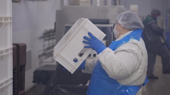 Factory Worker Puts Empty Plastic Boxes in on the Conveyor Machine Automatic Washing Boxes. Plastic