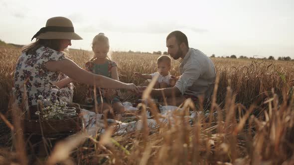 A Friendly Family with Children Sits Around an Impromptu Table During a Picnic in a Wheat Field on a