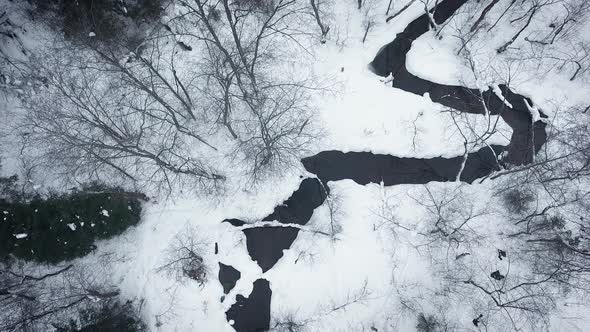 Aerial view of a wild winter forest. Frozen river in a cold winter forest