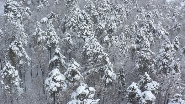 January scene from above the ground 4K drone footage