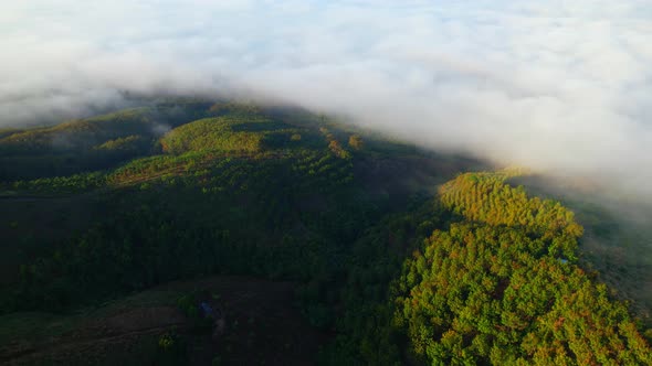 4K Aerial view over high mountain farmland with foggy morning