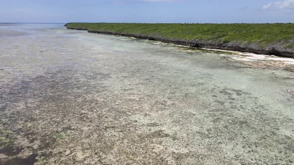 Low Tide in the Ocean Near the Coast of Zanzibar Island Tanzania