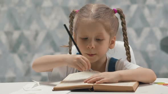 Portrait of Little Girl with Perky Pigtails