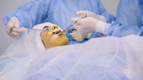 Cosmetic Surgery in the Clinic