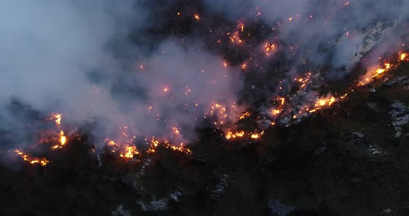 Aerial Panoramic View of a Forest Fire at Night Heavy Smoke Causes Air Pollution and Fire in Full