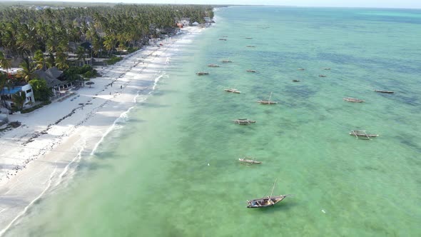 Coastal Landscape of Zanzibar Tanzania  Boats Near the Shore