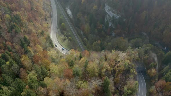 Aerial view of a road in autumn at the edge of a forest with two cars crossing each other. Drone DJI