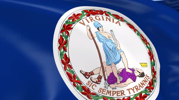 Virginia State Flag