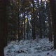 Winter Forest Snow Sunset - VideoHive Item for Sale