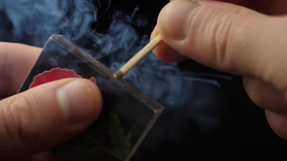 The match moves on the side of the matchbox and light the fire. Closeup. Shallow depth of field. Slo