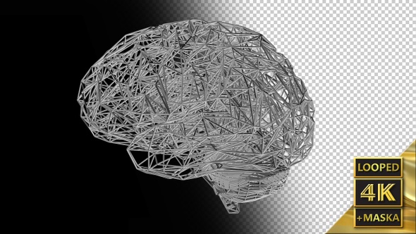 Computer Model of the Human Brain alt