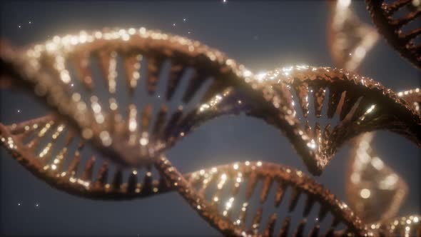 Double Helical Structure of Dna Strand Close-up Animation alt