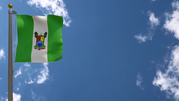 Lagos City Flag (Nigeria) On Flagpole