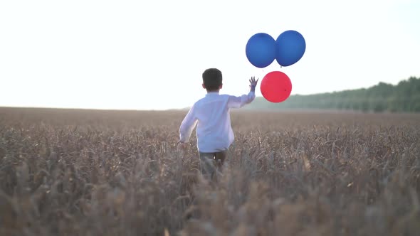 Cute Boy Running in the Wheat Field with Balloons