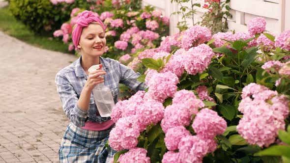 Garden Scene with Woman Plants Hydrangea, Watering Flowers in Backyard, Spring Time