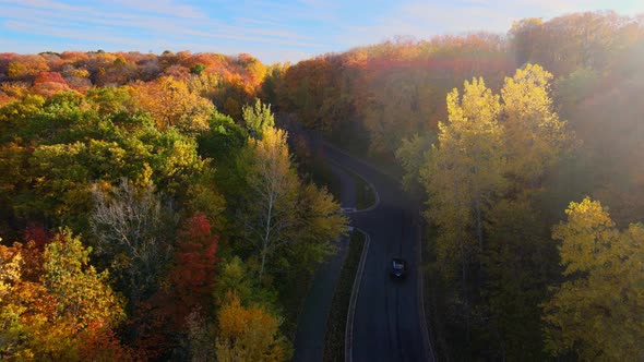 Car driving on a road surrounded by beautiful trees with leaves at autumn’s color’s peak