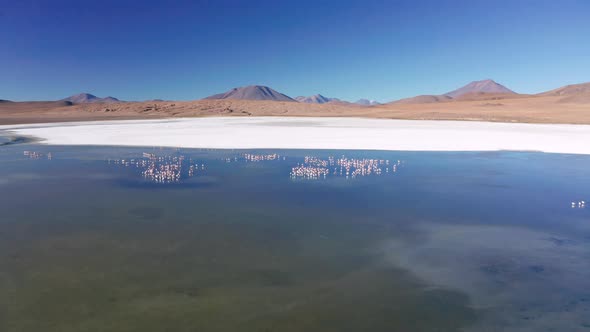 Sunrise View of Laguna De Canapa with Flamingo Bolivia Altiplano