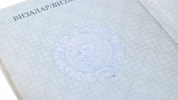 on the Passport Stamped Deportation