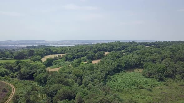 Aerial fly over of Devon woodlands along the UK Jurassic Coast