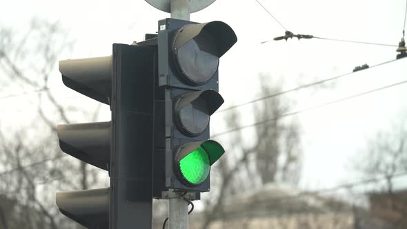 Traffic Light on the Road Regulates Traffic