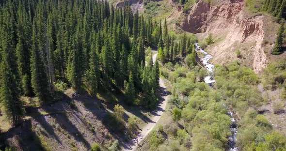 View of the Forest and Gorge From Above.