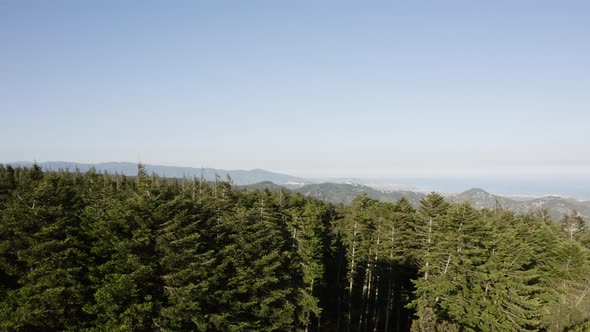 Aspromonte mountain Park in Calabria