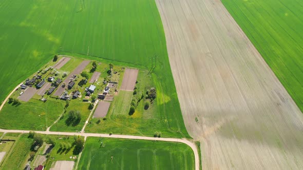 Top View of a Sown Green Field and a Small Village in Belarus. Agricultural Fields in the Village