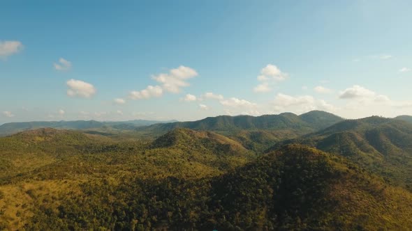 Mountain Landscape with Valley