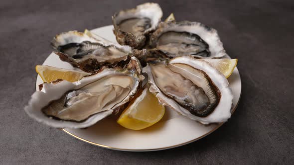 Fresh Oysters 20