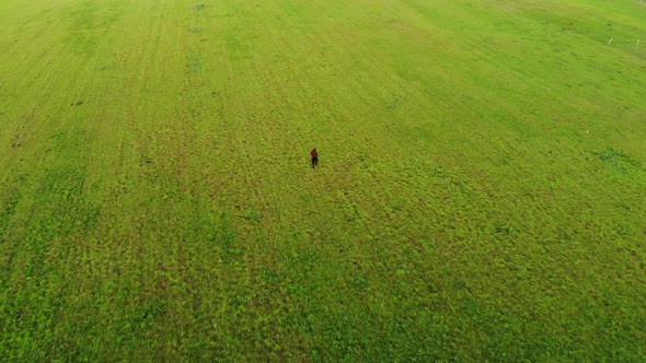 Shooting From Drone of a Young Girl in a Black Trench Coat Walking Across a Huge Green Field Against