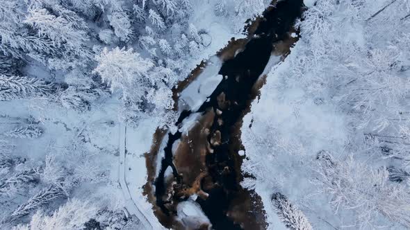 Narrow River with Ice Runs Across Wonderful Winter Forest