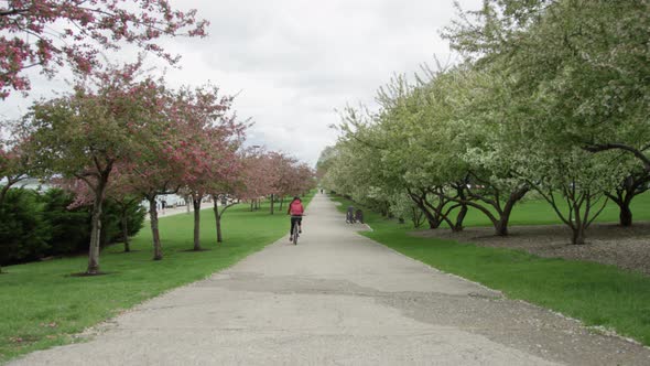 Riding a bike in a park