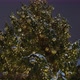 Christmas Tree Decorated and with Lights in Winter Night City Outdoors - VideoHive Item for Sale