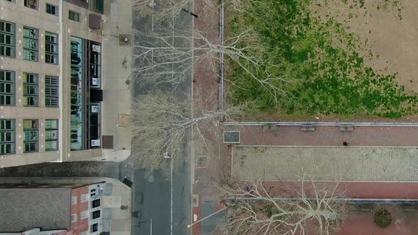 Aerial view above spring trees and uncrowded city streets - Overhead, drone shot