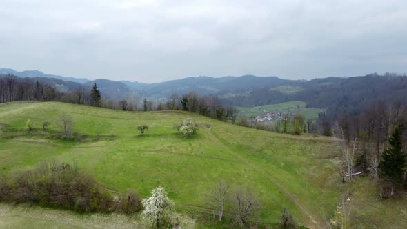 Colorful landscape with green meadows, houses with gardens