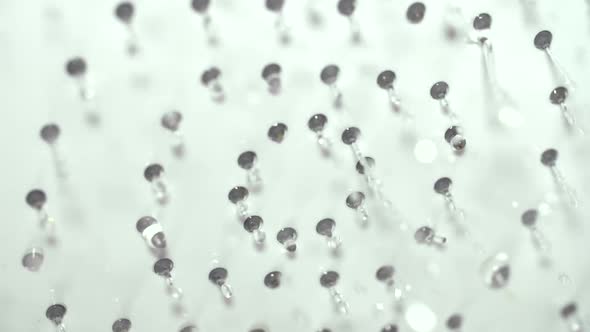 Drops of Water Slowly Flowing From Shower Head