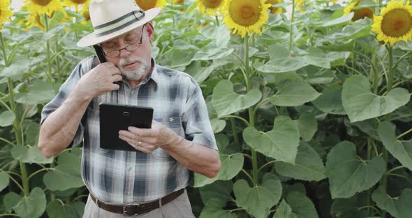 Senior Farmer Talking on Mobile Phone and Using Tablet on Sunflowers Background