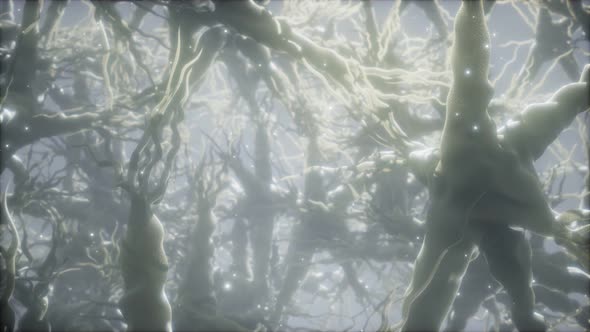 Journey Through a Neuron Cell Network Inside the Brain alt