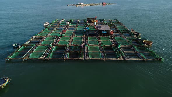 Unrecognizable people working on huge fishing farm in Vietnam, Aerial static