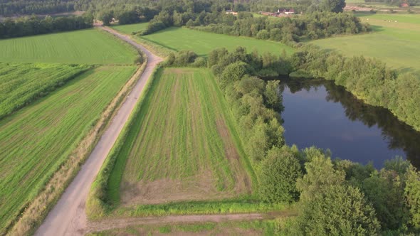 Flying Over Green Meadow with Small Trees