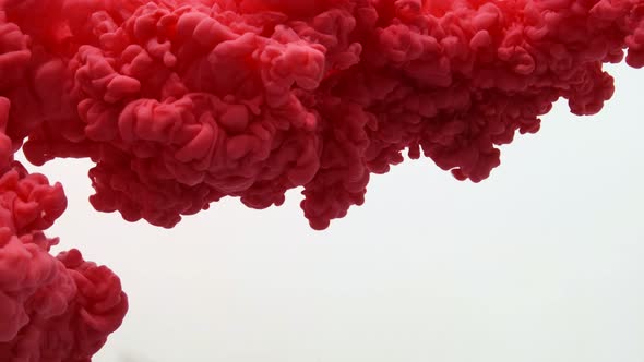 Red Color Paint Ink Drops in Water Slow Motion Video White Background with Copy Space. Inky Cloud