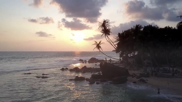 Palm Trees Silhouettes on Island Against Large Building