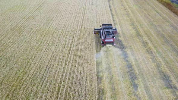 Combines Harvest Sunflower During the Day. Aerial Shoot